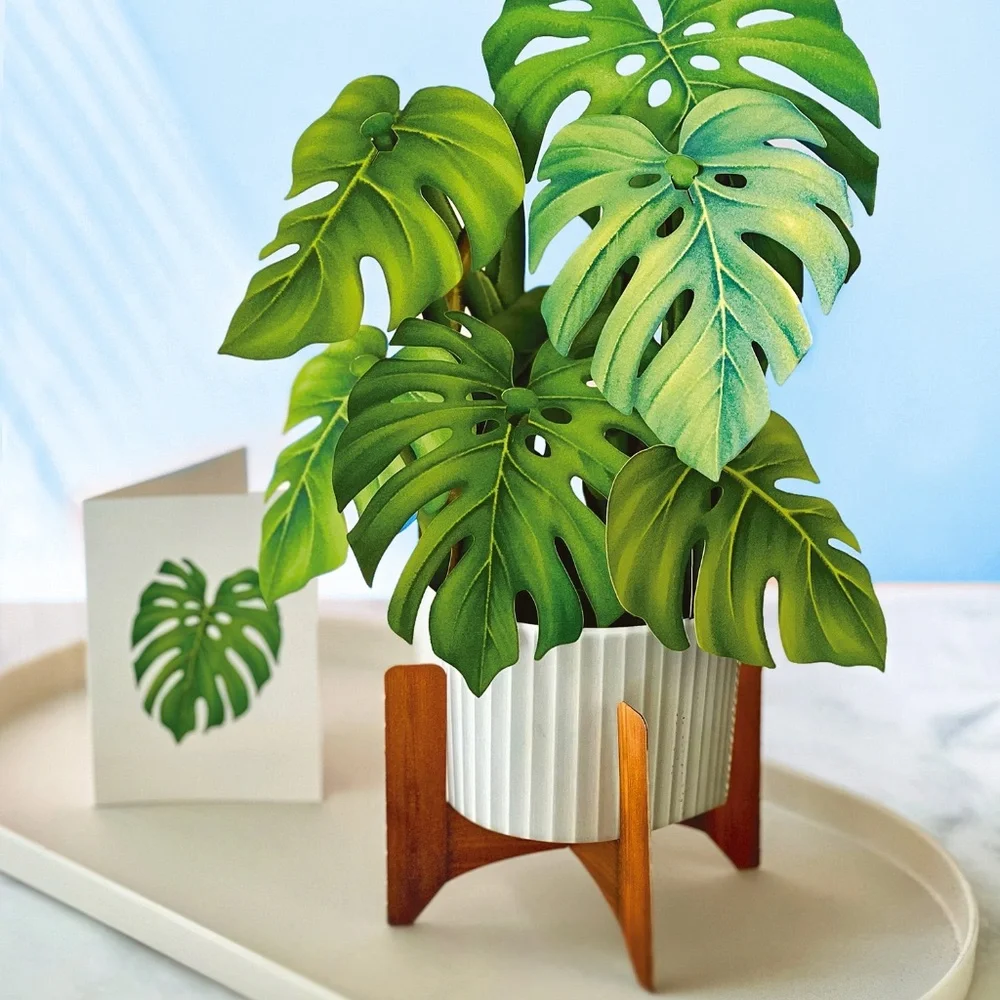 New 4 pc Life Sized‎ Paper House Plants 3D Cards